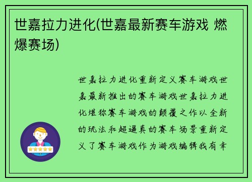 世嘉拉力进化(世嘉最新赛车游戏 燃爆赛场)