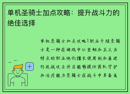 单机圣骑士加点攻略:提升战斗力的绝佳选择