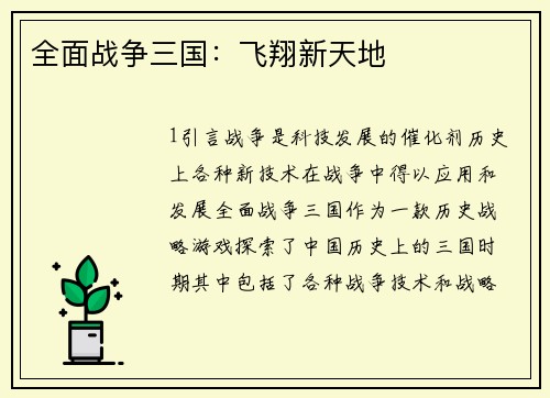 全面战争三国：飞翔新天地